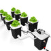 Deep-Water-Culture-8-Site-5-Gallon-Bubble-Flow-Buckets-DWC-RDWC-Hydroponic-Growing-System-Kits