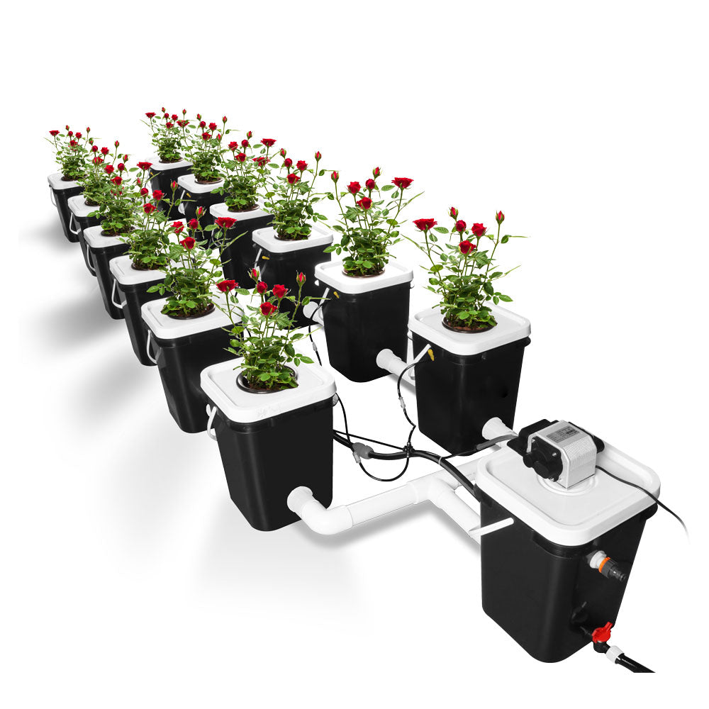 deep water culture hydroponic 4-plant system Deep Water Culture 5 Gallon 12 Site Bubble Flow Buckets DWC RDWC Hydro —  PARFACTWORKS